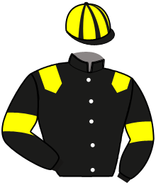 casaque portée par Briand Y. A. jockey du cheval de course IVOIRE DU RABUTIN, information pmu ZETURF