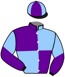 casaque portée par Tintillier A. jockey du cheval de course JADE MAJOR, information pmu ZETURF