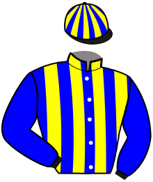 casaque portée par Peltier S. jockey du cheval de course HELMA DE BUSSET, information pmu ZETURF