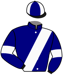 casaque portée par Chauve-laffay Q. jockey du cheval de course KASTING BLUE, information pmu ZETURF