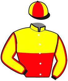 casaque portée par Gout L. jockey du cheval de course KIDS DU BASSIN, information pmu ZETURF