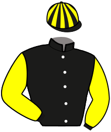 casaque portée par Tintillier A. jockey du cheval de course KELLE ALLURE, information pmu ZETURF