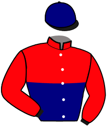 casaque portée par Chapdelaine F. jockey du cheval de course EQUALITY, information pmu ZETURF casaque portée par Chapdelaine F. jockey du cheval de course EQUALITY, information pmu ZETURF