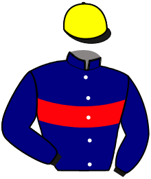 casaque portée par Goop Bjo. jockey du cheval de course METAVERSA, information pmu ZETURF