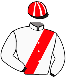 casaque portée par Gelormini G. jockey du cheval de course MAMMA MIA, information pmu ZETURF