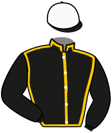 casaque portée par Raffin E. jockey du cheval de course JOY ALISSA, information pmu ZETURF