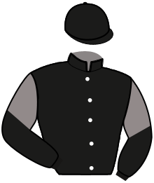 casaque portée par Rochard B. jockey du cheval de course FIGHTER SIMONI, information pmu ZETURF