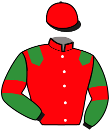 casaque portée par Lelievre Meh. jockey du cheval de course STARO MOJITO, information pmu ZETURF