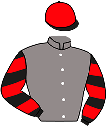 casaque portée par Henry Mlle N. jockey du cheval de course HIMALAYA NARCY, information pmu ZETURF