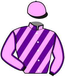 casaque portée par Bertin Lil. jockey du cheval de course HOUARNEAU, information pmu ZETURF