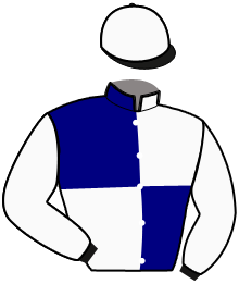casaque portée par Gendrot A. jockey du cheval de course HISTORIC DAY, information pmu ZETURF