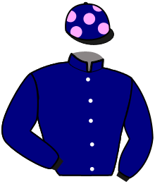 casaque portée par Abrivard M. jockey du cheval de course JOKE BLUE, information pmu ZETURF