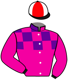 casaque portée par Raffin E. jockey du cheval de course FRANKIE LJ, information pmu ZETURF casaque portée par Raffin E. jockey du cheval de course FRANKIE LJ, information pmu ZETURF