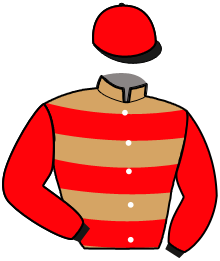 casaque portée par Gelormini G. jockey du cheval de course JOLIE POUPEE, information pmu ZETURF