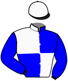 casaque portée par Jeanneau F. jockey du cheval de course JAGUAR OPAJELO, information pmu ZETURF casaque portée par Jeanneau F. jockey du cheval de course JAGUAR OPAJELO, information pmu ZETURF