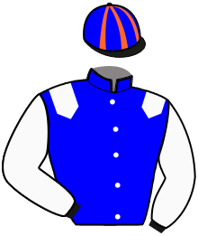casaque portée par Corbineau F. jockey du cheval de course KOGNAC DES TOURS, information pmu ZETURF casaque portée par Corbineau F. jockey du cheval de course KOGNAC DES TOURS, information pmu ZETURF