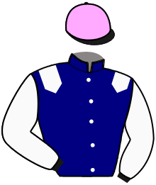 casaque portée par Audebert E. jockey du cheval de course KAZAR DE CRAVANS, information pmu ZETURF casaque portée par Audebert E. jockey du cheval de course KAZAR DE CRAVANS, information pmu ZETURF
