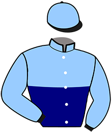 casaque portée par Clozier F. jockey du cheval de course JOLINE TUILERIE, information pmu ZETURF