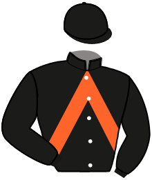 casaque portée par Feron J. Ch. jockey du cheval de course KALEO DU BELLAY, information pmu ZETURF casaque portée par Feron J. Ch. jockey du cheval de course KALEO DU BELLAY, information pmu ZETURF