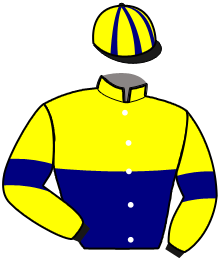 casaque portée par Ducre Mlle M. jockey du cheval de course IBELIA DU LOISIR, information pmu ZETURF casaque portée par Ducre Mlle M. jockey du cheval de course IBELIA DU LOISIR, information pmu ZETURF