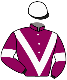 casaque portée par Mayeur R. jockey du cheval de course KING D'ECUPILLAC, information pmu ZETURF casaque portée par Mayeur R. jockey du cheval de course KING D'ECUPILLAC, information pmu ZETURF