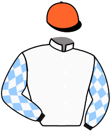 casaque portée par Le Clerc B. jockey du cheval de course SHINNING MOON, information pmu ZETURF casaque portée par Le Clerc B. jockey du cheval de course SHINNING MOON, information pmu ZETURF