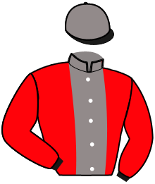 casaque portée par Rochard B. jockey du cheval de course MAGIC LOVE, information pmu ZETURF casaque portée par Rochard B. jockey du cheval de course MAGIC LOVE, information pmu ZETURF