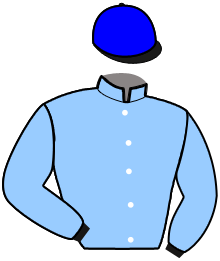 casaque portée par Bonne D. jockey du cheval de course VAPRIO, information pmu ZETURF casaque portée par Bonne D. jockey du cheval de course VAPRIO, information pmu ZETURF