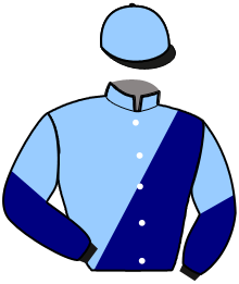 casaque portée par Monclin J. Ph. jockey du cheval de course IDEAL LIGNERIES, information pmu ZETURF casaque portée par Monclin J. Ph. jockey du cheval de course IDEAL LIGNERIES, information pmu ZETURF
