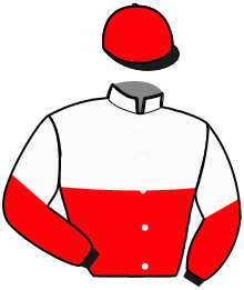 casaque portée par Lagadeuc F. jockey du cheval de course KAN DURAN, information pmu ZETURF casaque portée par Lagadeuc F. jockey du cheval de course KAN DURAN, information pmu ZETURF