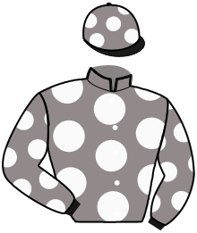 casaque portée par Letonturier F. jockey du cheval de course FEE FRAULEIN, information pmu ZETURF casaque portée par Letonturier F. jockey du cheval de course FEE FRAULEIN, information pmu ZETURF