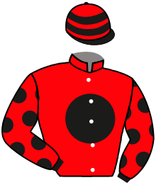 casaque portée par Eon Mlle M. jockey du cheval de course VERITABLE, information pmu ZETURF casaque portée par Eon Mlle M. jockey du cheval de course VERITABLE, information pmu ZETURF