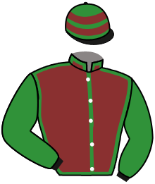 casaque portée par Metivier E. jockey du cheval de course STORM FULL, information pmu ZETURF casaque portée par Metivier E. jockey du cheval de course STORM FULL, information pmu ZETURF