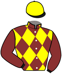 casaque portée par Thonnerieux K. jockey du cheval de course JUST ONE FLASH, information pmu ZETURF casaque portée par Thonnerieux K. jockey du cheval de course JUST ONE FLASH, information pmu ZETURF
