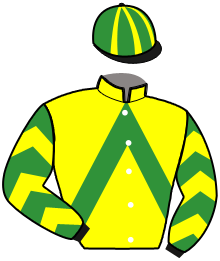 casaque portée par Tomaselli A. jockey du cheval de course KEN QUICK, information pmu ZETURF casaque portée par Tomaselli A. jockey du cheval de course KEN QUICK, information pmu ZETURF