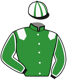 casaque portée par Thomain D. jockey du cheval de course JIBI DU FRUITIER, information pmu ZETURF