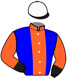 casaque portée par Ouvrie F. jockey du cheval de course D J DEI VELTRI, information pmu ZETURF casaque portée par Ouvrie F. jockey du cheval de course D J DEI VELTRI, information pmu ZETURF