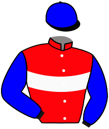 casaque portée par Hobart B. jockey du cheval de course RIO D'OCTOBRE, information pmu ZETURF casaque portée par Hobart B. jockey du cheval de course RIO D'OCTOBRE, information pmu ZETURF
