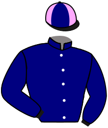 casaque portée par Brunelli Mlle M. jockey du cheval de course KAPETANIOS, information pmu ZETURF casaque portée par Brunelli Mlle M. jockey du cheval de course KAPETANIOS, information pmu ZETURF