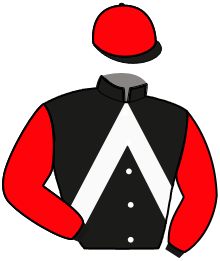 casaque portée par Beauvais E. jockey du cheval de course IRYSKA LESMELCHEN, information pmu ZETURF casaque portée par Beauvais E. jockey du cheval de course IRYSKA LESMELCHEN, information pmu ZETURF
