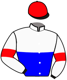 casaque portée par Piton Lou. jockey du cheval de course FAKIR DE GESVRES, information pmu ZETURF casaque portée par Piton Lou. jockey du cheval de course FAKIR DE GESVRES, information pmu ZETURF