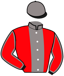 casaque portée par Geneste Adr. jockey du cheval de course HESTIA DES PLAINES, information pmu ZETURF