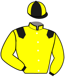 casaque portée par Marty F. jockey du cheval de course KALIMERO, information pmu ZETURF casaque portée par Marty F. jockey du cheval de course KALIMERO, information pmu ZETURF