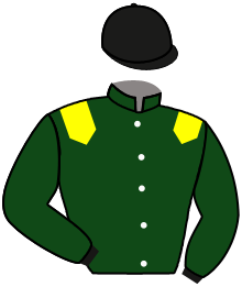 casaque portée par Vilchien A. jockey du cheval de course LAHOMI, information pmu ZETURF casaque portée par Vilchien A. jockey du cheval de course LAHOMI, information pmu ZETURF