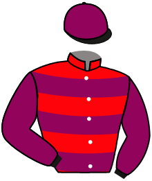 casaque portée par Piccone T. jockey du cheval de course MCLEAN HOUSE, information pmu ZETURF casaque portée par Piccone T. jockey du cheval de course MCLEAN HOUSE, information pmu ZETURF