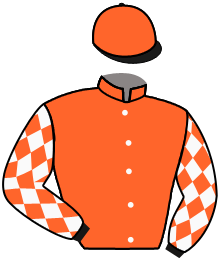 casaque portée par Hardouin E. jockey du cheval de course ROCHELLE, information pmu ZETURF casaque portée par Hardouin E. jockey du cheval de course ROCHELLE, information pmu ZETURF