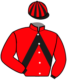casaque portée par Lebouteiller J. jockey du cheval de course FILOU DE LA ROUVRE, information pmu ZETURF casaque portée par Lebouteiller J. jockey du cheval de course FILOU DE LA ROUVRE, information pmu ZETURF