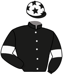 casaque portée par Carboni Luc. jockey du cheval de course BOAVISTA, information pmu ZETURF casaque portée par Carboni Luc. jockey du cheval de course BOAVISTA, information pmu ZETURF