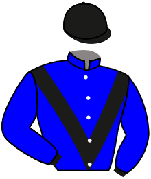 casaque portée par Hardouin E. jockey du cheval de course VISILANDA, information pmu ZETURF casaque portée par Hardouin E. jockey du cheval de course VISILANDA, information pmu ZETURF