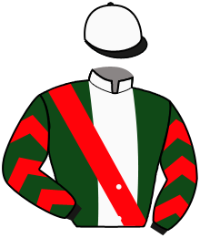 casaque portée par Lauron M. jockey du cheval de course EL KALBITO, information pmu ZETURF casaque portée par Lauron M. jockey du cheval de course EL KALBITO, information pmu ZETURF